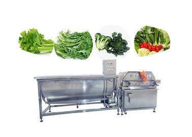Bubbling Sayuran Buah Mesin Cuci Salad Cleaning Line Produksi Sayuran Beku