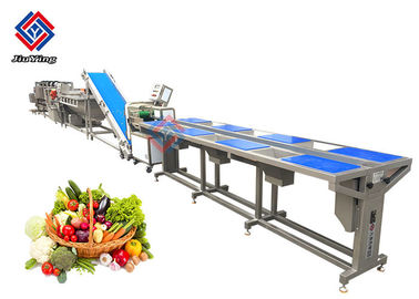SUS 304 SS Bahan Lini Produksi Sayuran Beku Untuk Pusat Distribusi Makanan