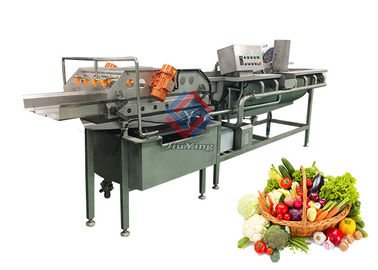 4.8KW Mesin Pencuci Buah Sayuran Otomatis Vortex Type Lettuce Washer