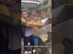 12 Stasiun Pemotongan Mesin Pemotong Potato Chips Sentrifugal Slice Dengan hasil yang sangat baik