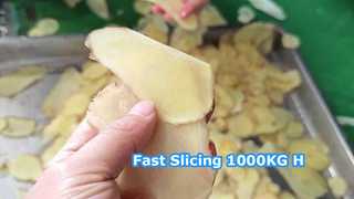 Mesin Pengiris Sentrifugal 1000KG/Jam