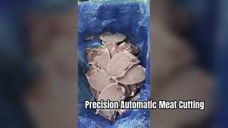 JYX-420 Gergaji Daging Potong Tunggal Otomatis dengan Sudut Pemotongan 0-45 Derajat