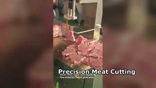 JY310 Butcher Band Saw Pemotongan Daging Presisi